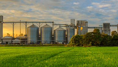 Fumigation of Grain with Phosphine
