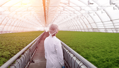 Update/Refresher Course